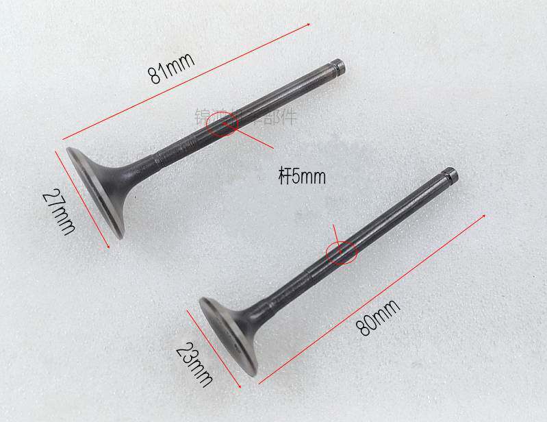 Locomotive Accessories WH125T-3 Jiaying WH125LZ Hehandsome Cool Shadow Grand Duke 125 intake door exhaust door