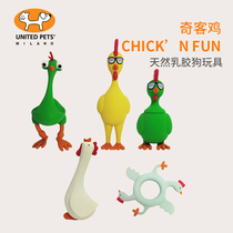  Italy United Pets Qike chicken pet dog toy Sound toy Bite-resistant molar dog toy