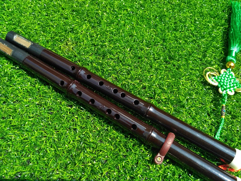 Vân Nam Daixi và vần nhạc cụ nhựa bakelite C xuống B-tông đôi tông màu hai tông lụa tơ tằm một đầu hai người mới bắt đầu - Nhạc cụ dân tộc
