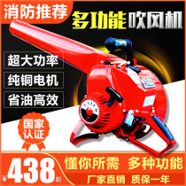 Portable wind fire extinguisher two four stroke carrying 6MF30 high power snow blower forest fire extinguisher gasoline