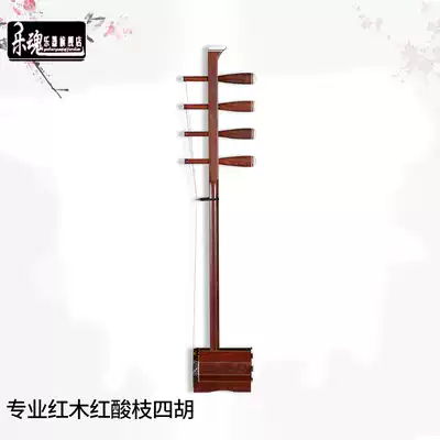 Le Soul professional mahogany red acid branch Sihu Professional performance Sihu Mongolian treble Sihu musical instrument