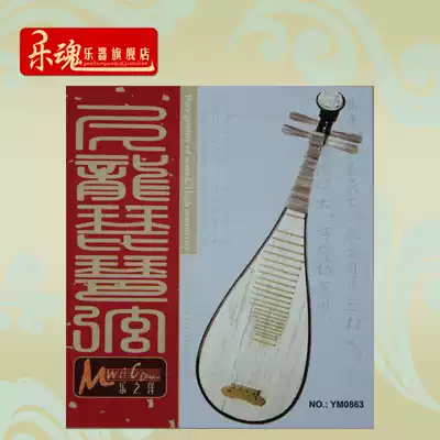 Professional nylon pipa string string set of 4 factory direct sales