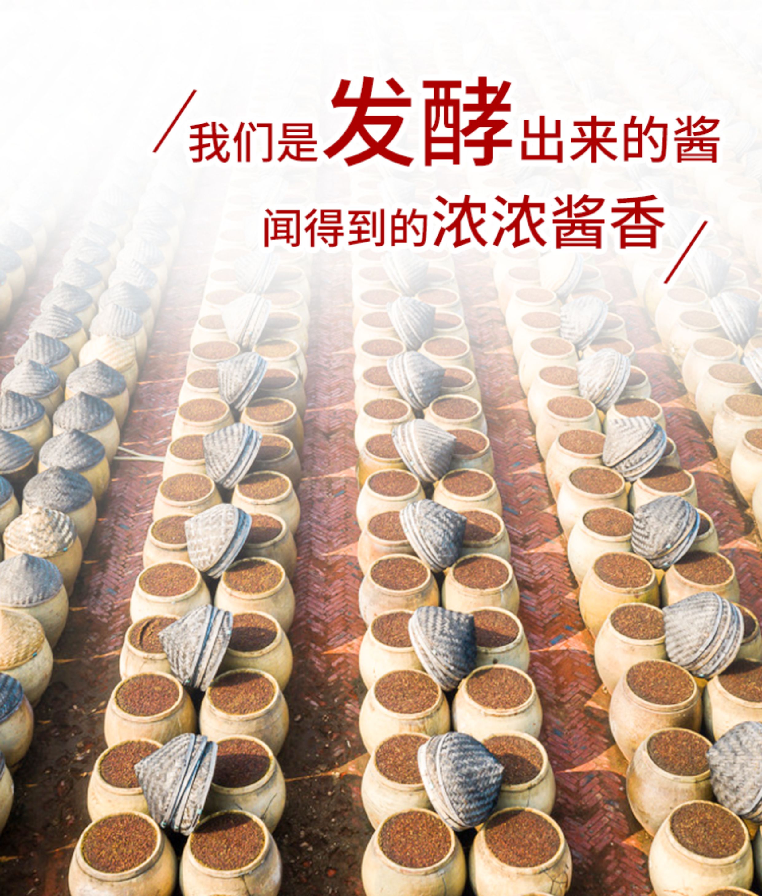 安享好物 安享D级老抽-海天上色好老抽 国标 