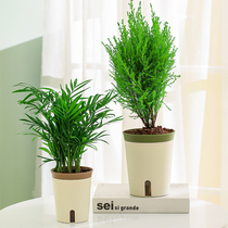 SLOTH FLOWER POT AUTOMATIC WATER SUCTION GREEN LORI SPECIAL INDOOR BALCONY PLANT CACTI THICKENED DURABLE PLASTIC SMALL FLOWER POT