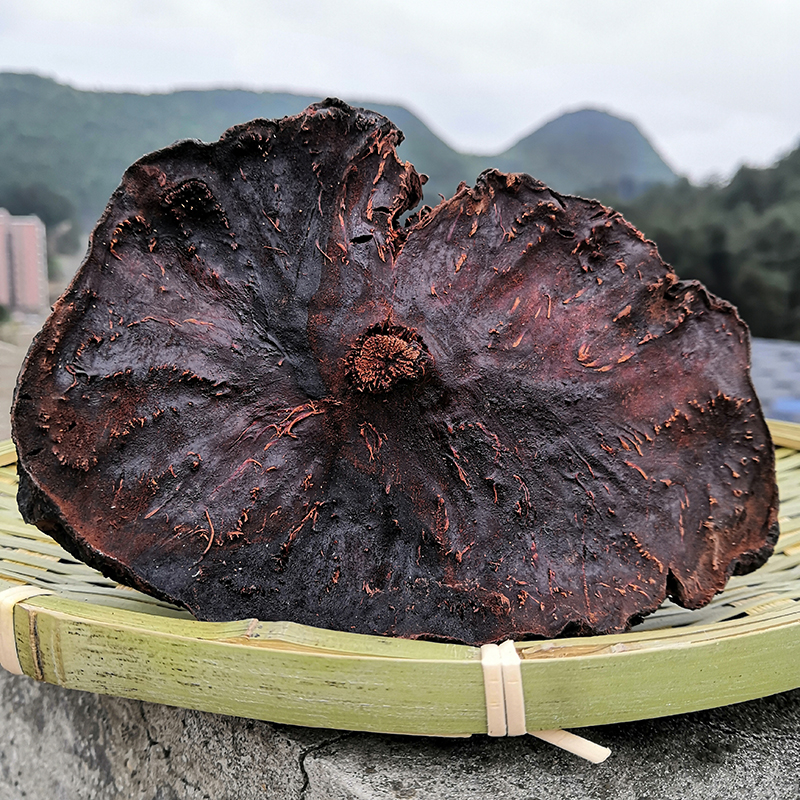 Guizhou wild-made fleece-flower root white hair alopus hair decor stars 40-year growth of 500 gr special grade-Taobao