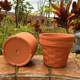 ເຄື່ອງປັ້ນດິນເຜົາສີແດງ pots ດອກ succulents ດອກ pots ceramic ດອກ pots pots ສີແດງ pots pots straight flower pots embossed flower pots round pots