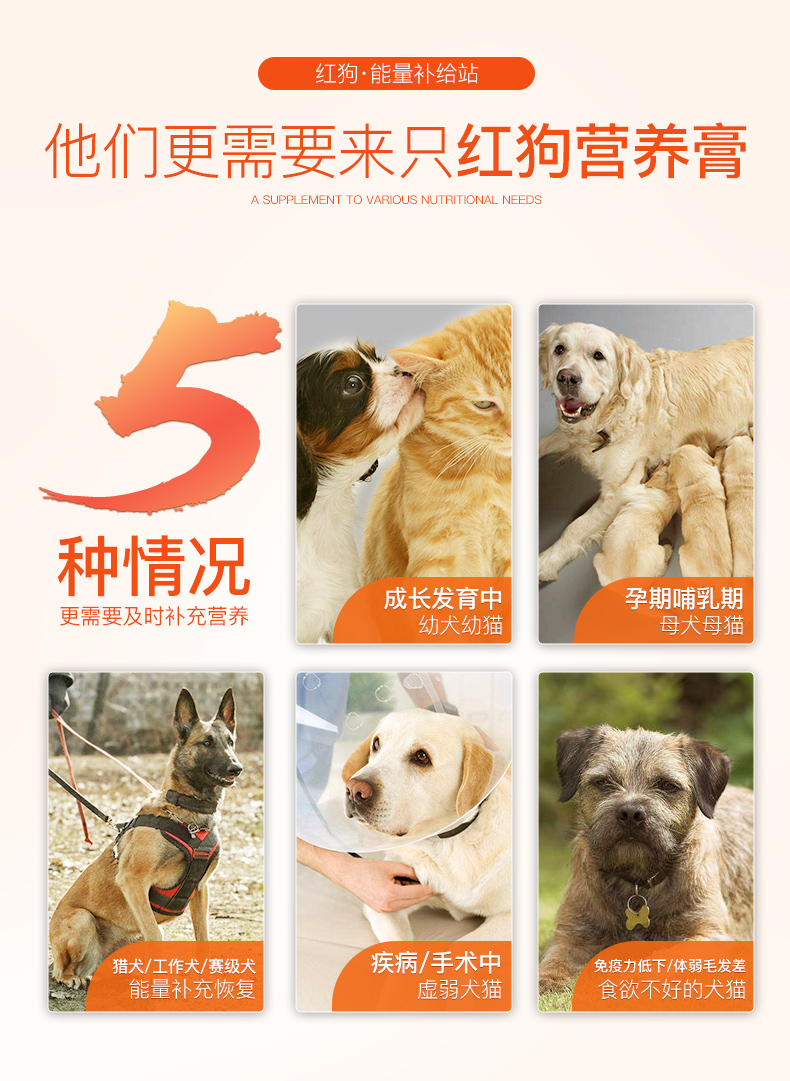 Red dog kem dinh dưỡng cho chó ăn thịt chó vỗ béo Teddy điều hòa dạ dày và bổ sung canxi - Cat / Dog Health bổ sung 	sữa cho chó con 1 tuần tuổi	