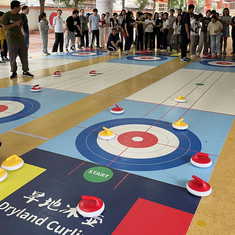 チームビルディング 屋内用小道具 ボールゲーム キャンパスボール カーリング チームビルディング アイススポーツ カーリングパーティー 大人 陸上競技