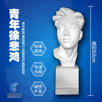 Gypsum Statue Chinese Youth Xu Saihong Figure Sketch Sketch Mold Still Life Statue Ornaments Art Teaching Tools