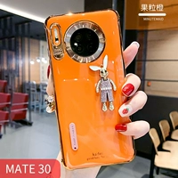 Mate30-фруктовый зерно-апельсиновый кролик