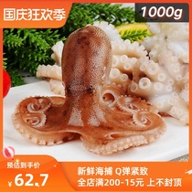 Small octopus frozen octopus mini Qingdao fresh seafood aquatic barbecue hot pot INGREDIENTS 2kg