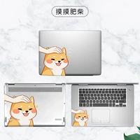 Прикосновение Fei Chai-UV Пассажирский пассажир с четырьмя частями модели сет