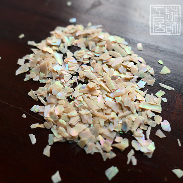 The Snail's Narrow Bou Bay Abalone Bay 