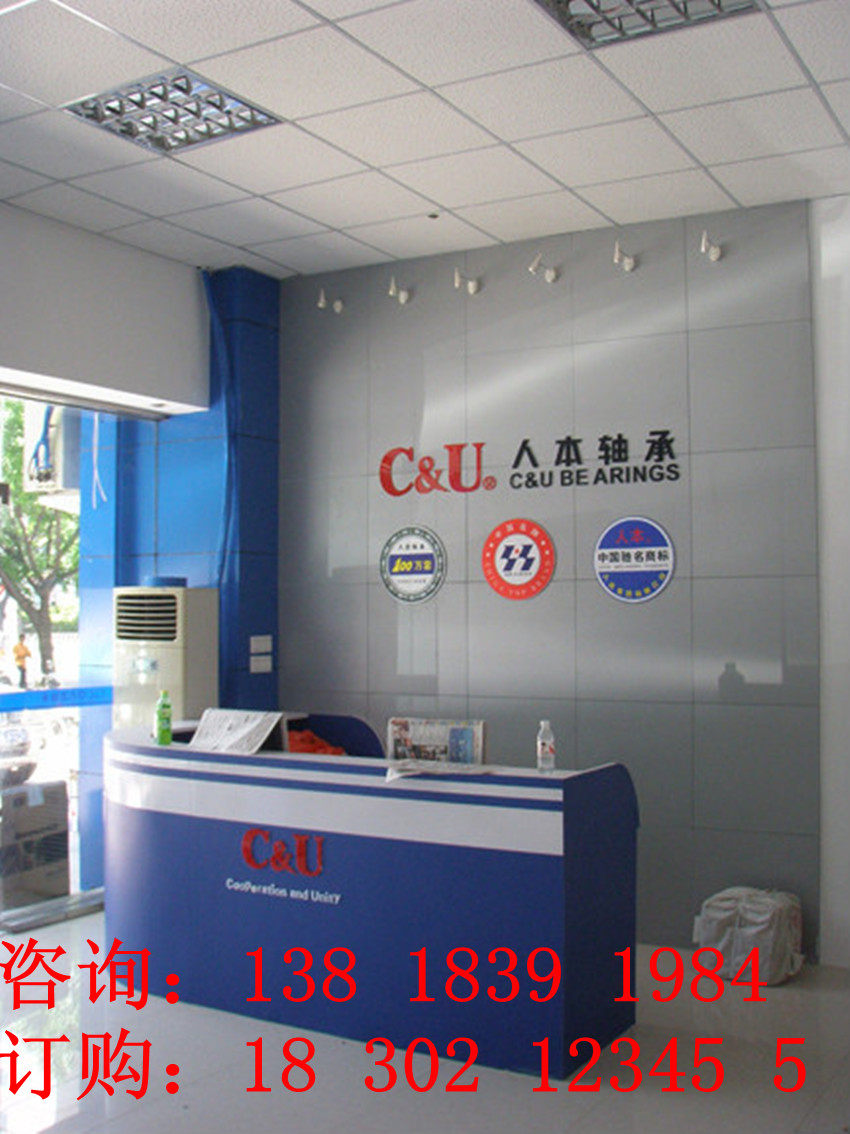 Human Bearing Specialized 6204 -2RS 6205 6206 Integrity Operation only for the drilling 0 profit