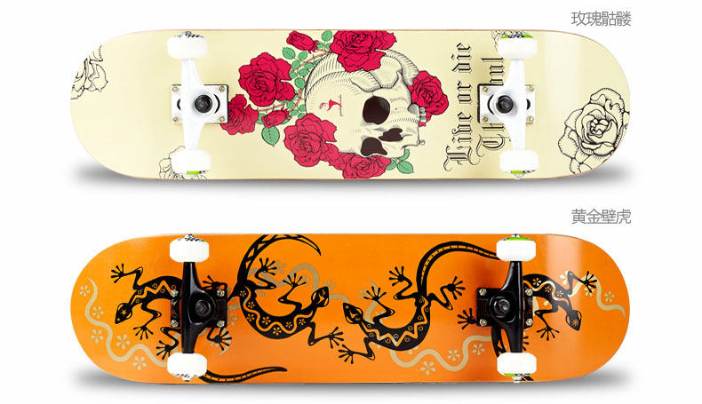 Skate pour homme femme enfant      - Ref 2598896 Image 28
