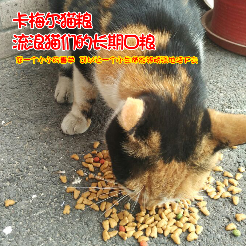 Carmel thức ăn cho mèo 2,5kg vận chuyển cá biển mèo mèo đi lạc mèo đất mèo mèo cam mèo thức ăn mèo 5 kg - Cat Staples Review các loại hạt cho mèo