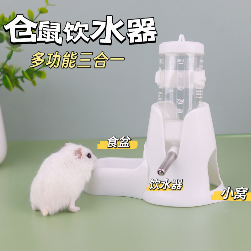 Curated visual reference: Fresh Look at A Must Have For Hamster Treasures A Leak Proof Ball