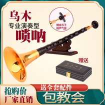 Professional Wumu Suona Professional Playing with Suona Adults D Tune Suona Musical Instruments D Tune Suona the full size horn