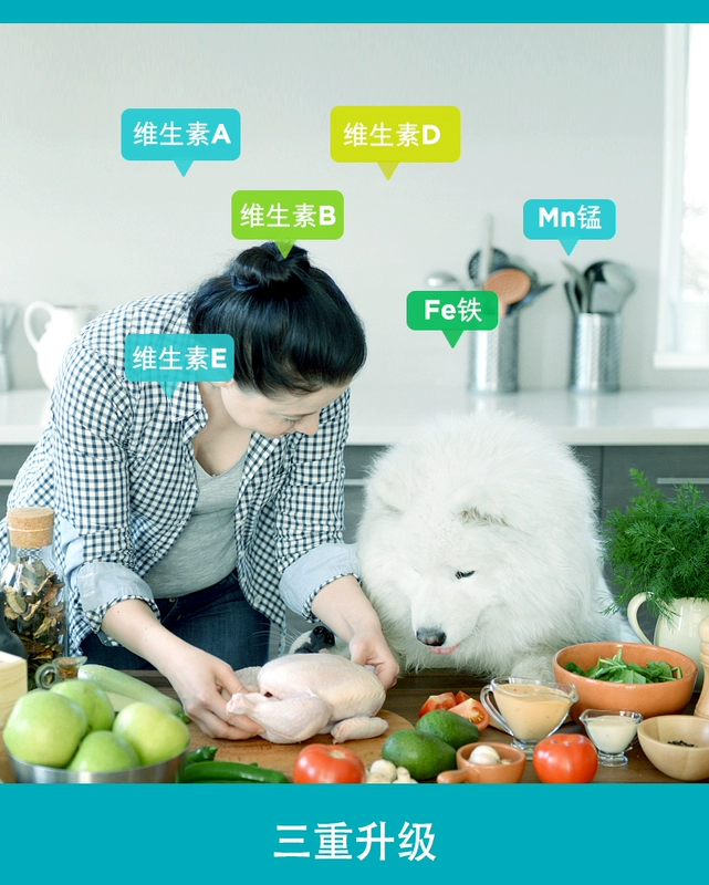 Wei Shi Dinh dưỡng Kem 120g Chó Mang thai Dinh dưỡng Pet Teddy Puppy Cat Vitamin Dinh dưỡng - Cat / Dog Health bổ sung