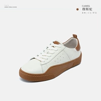 Mousse Camel 4803228