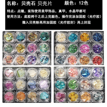 Nail art jewelry Japanese shell multicolored abalone shell stone nail light therapy decoration Net red 12 colors