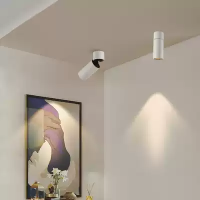 Ultra-depth anti-glare bright spot light COB high color rendering index see light not see light folding adjustable without main light