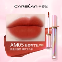 Новый пирог с томатным пудингом AM05 # [цветовой номер старого стиля AM17]