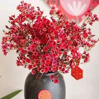 【Сосание цвета】 3 красного зимнего пирога