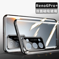 Oppo, глянцево-черный черный двусторонний стеклянный объектив, 6 pro+