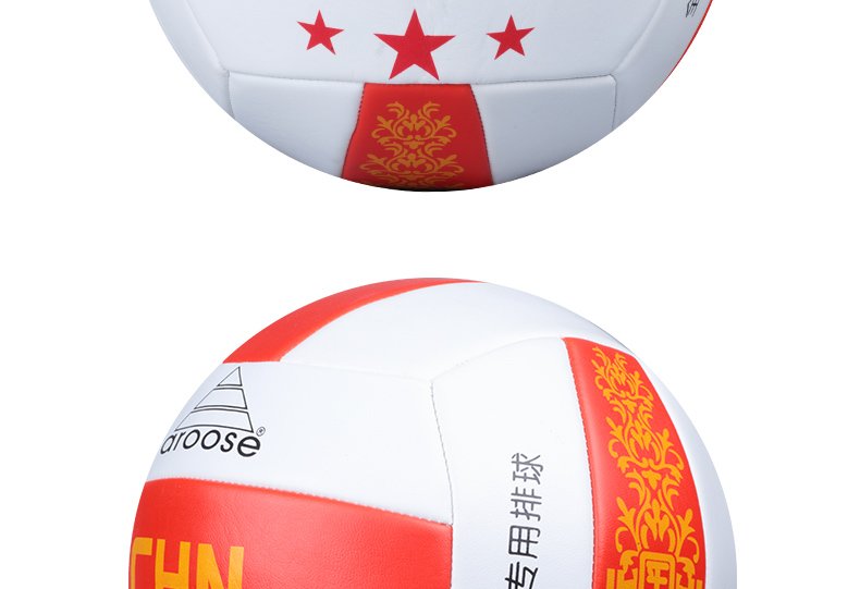 Ballon de volley - Ref 2009236 Image 14