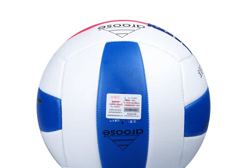 Ballon de volley - Ref 2009236 Image 12