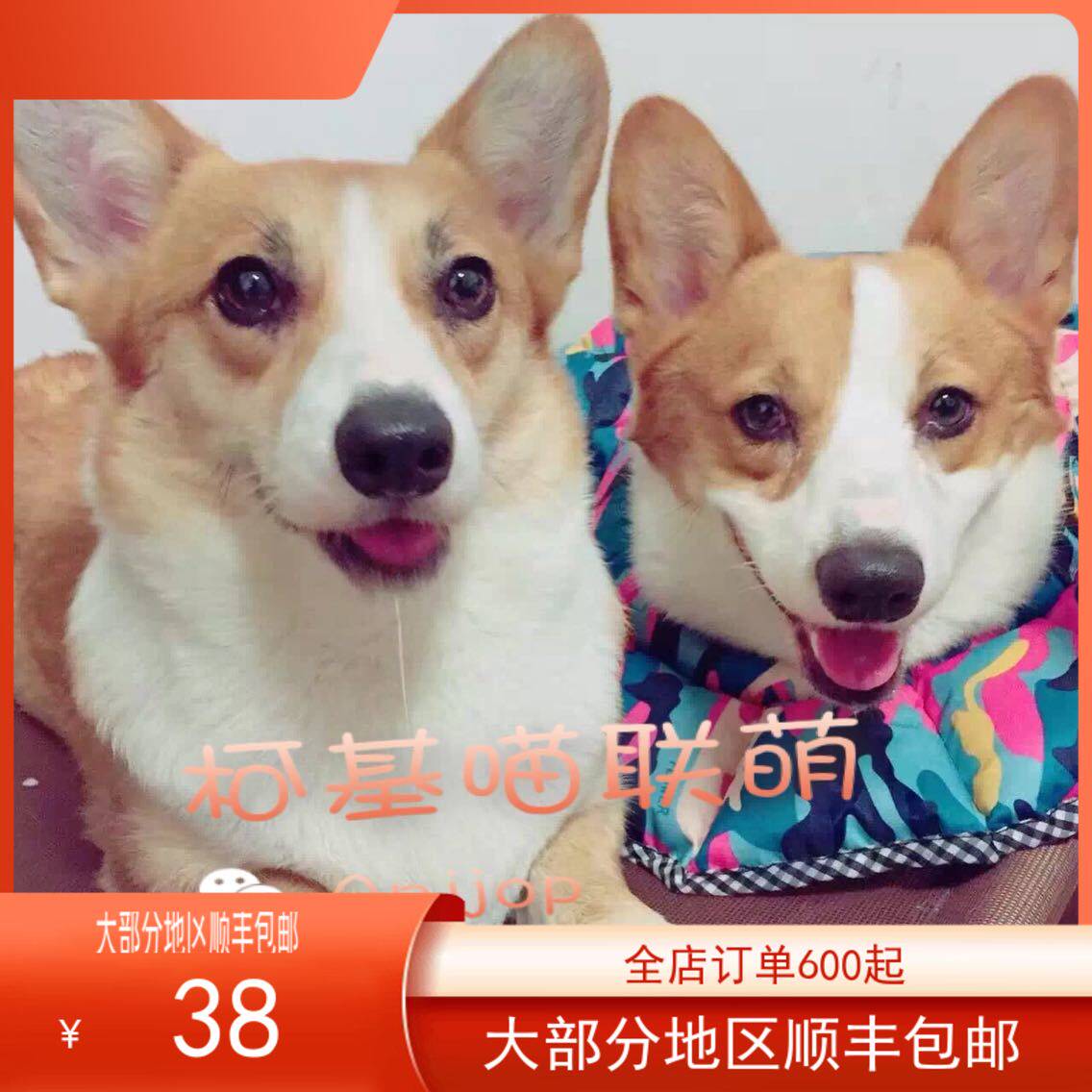 * Luxury pet freeze-dried duck small breasted chicken breast chicken apple Ting chicken ground guardine dog training to reward snacks