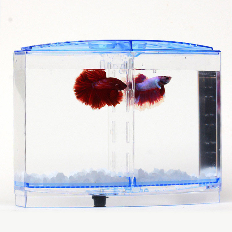 Bucket fish tank isolation tank Bucket fish box two compartment incubation breeding acrylic mini small fish tank independent use of fish tank