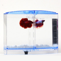 斗鱼鱼缸隔离缸斗鱼盒两格孵化繁殖亚克力迷你小鱼缸独立使用鱼缸