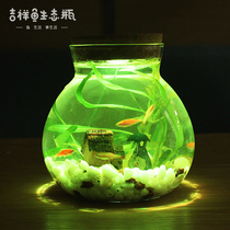 Lantern ecological bottle aquarium water-free living fish living room office desktop viewing diy small landscape fish