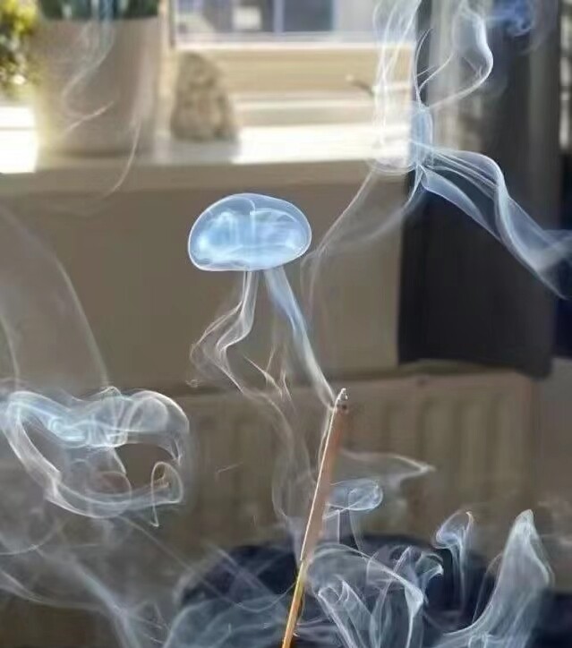 趣玩水母先生的LOGO