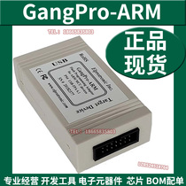 GangPro-ARM Program Programmer Programmer GP-ARM GangPro-ARM Downloader Import Original