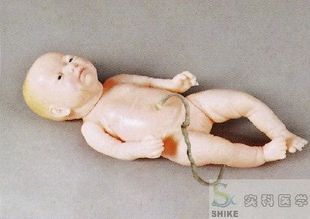 高级新生儿脐带护理模型护理模型 婴儿护理模型