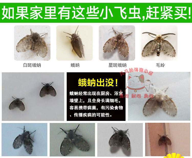 товар из китая 日本金鸟除杀虫剂卫生间厕所下水道灭蛾蠓驱小飞虫家用防黑虫神器 Kincho