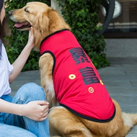 Прохладный красный жилет