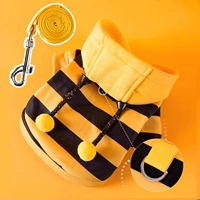 Весна и осенняя толстовка?