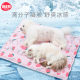 Pet ice mat dog summer sleeping mat net red mat mat kennel cat summer sleeping cooling floor mat supplies