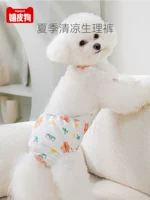 Собачья менструальная тети физиологические штаны