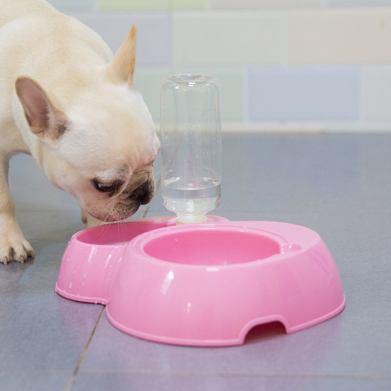 Dog drinking machine Automatic feeding machine teddy puppy water dispenser Kettle Kitty Drinking Water Instrumental Dog Bowl Pet Supplies