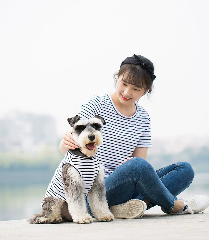 Quần áo chó, cha mẹ-con, mùa hè, gấu, gấu, VIP, gấu bông, chó nhỏ, quần áo thú cưng, quần áo mùa hè - Quần áo & phụ kiện thú cưng quan ao cho cho