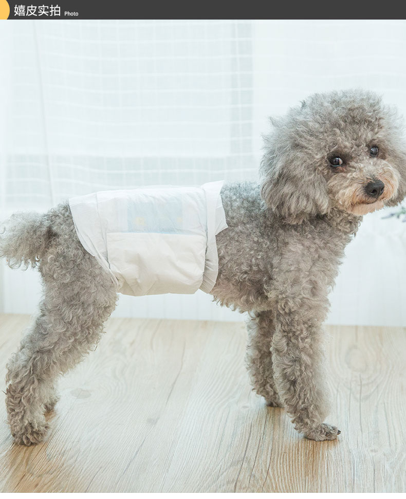 狗狗生理褲泰迪小型犬內褲公狗專用安全褲尿不濕寵物紙尿褲發情褲 Yahoo奇摩拍賣 狗狗生理褲泰迪小型犬內褲公狗專用安全褲尿不濕寵物紙尿褲發情褲 Yahoo奇摩拍賣