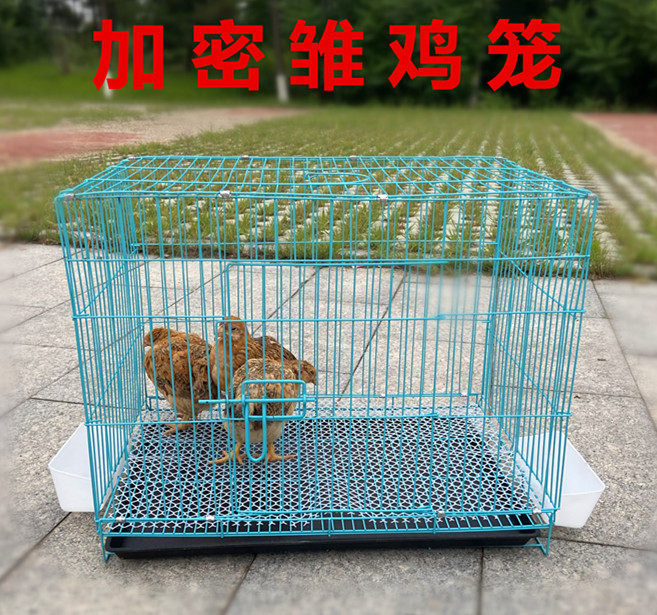 Chick Cage Home Small Number Encrypted Small Chicken Cage Breeding Cage Folding Chick Caged Chicken Coop Dove Cage Quail Cage