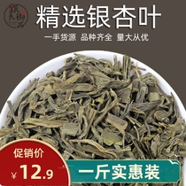 Ginkgo leaf 500g Bulk New goods White fruit leaves Dried Gingko Leaf Tea grade No sulphur Chinese herbal medicine