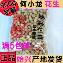 Shixing Peanut 500g Bao He Xiaolong Cheng Ji Peanut Salt Water Fried Peanut Hakka Special Products Shaoguan Niuhai