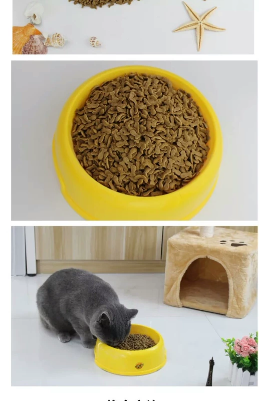 Yêu tất cả các cách cá biển sâu nếm mèo vào thức ăn cho mèo 500 gram nạp 5 kg - Cat Staples
